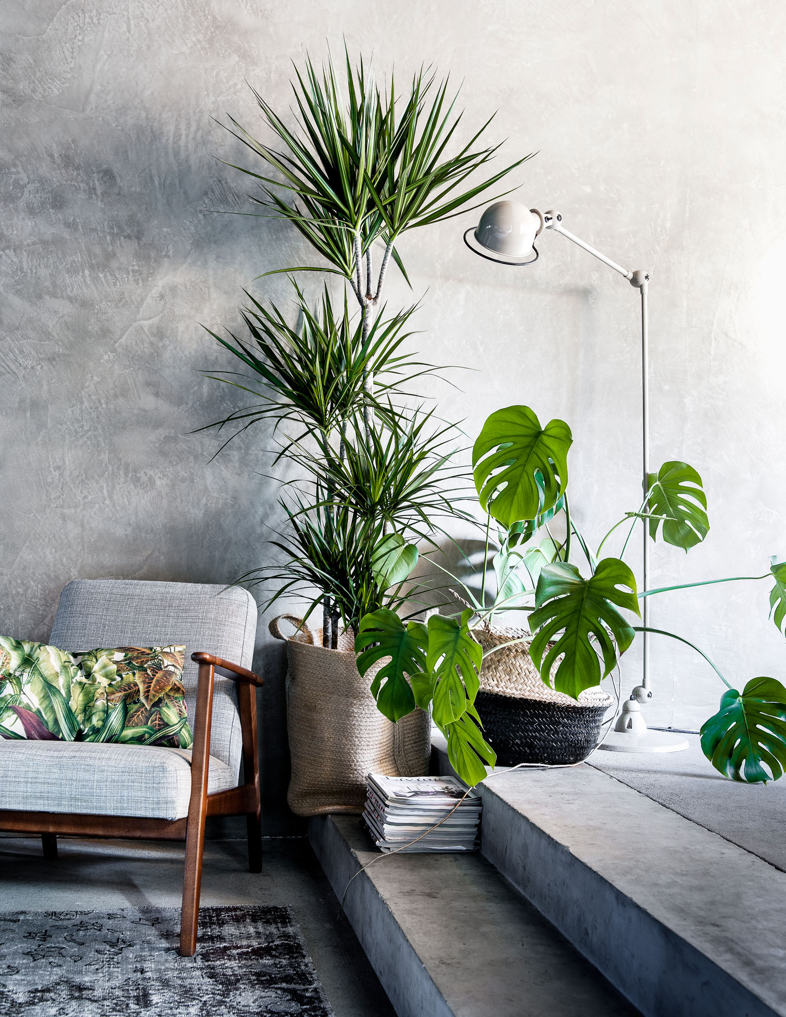 Summer Home Hack- The Houseplants That'll Change the Game_1