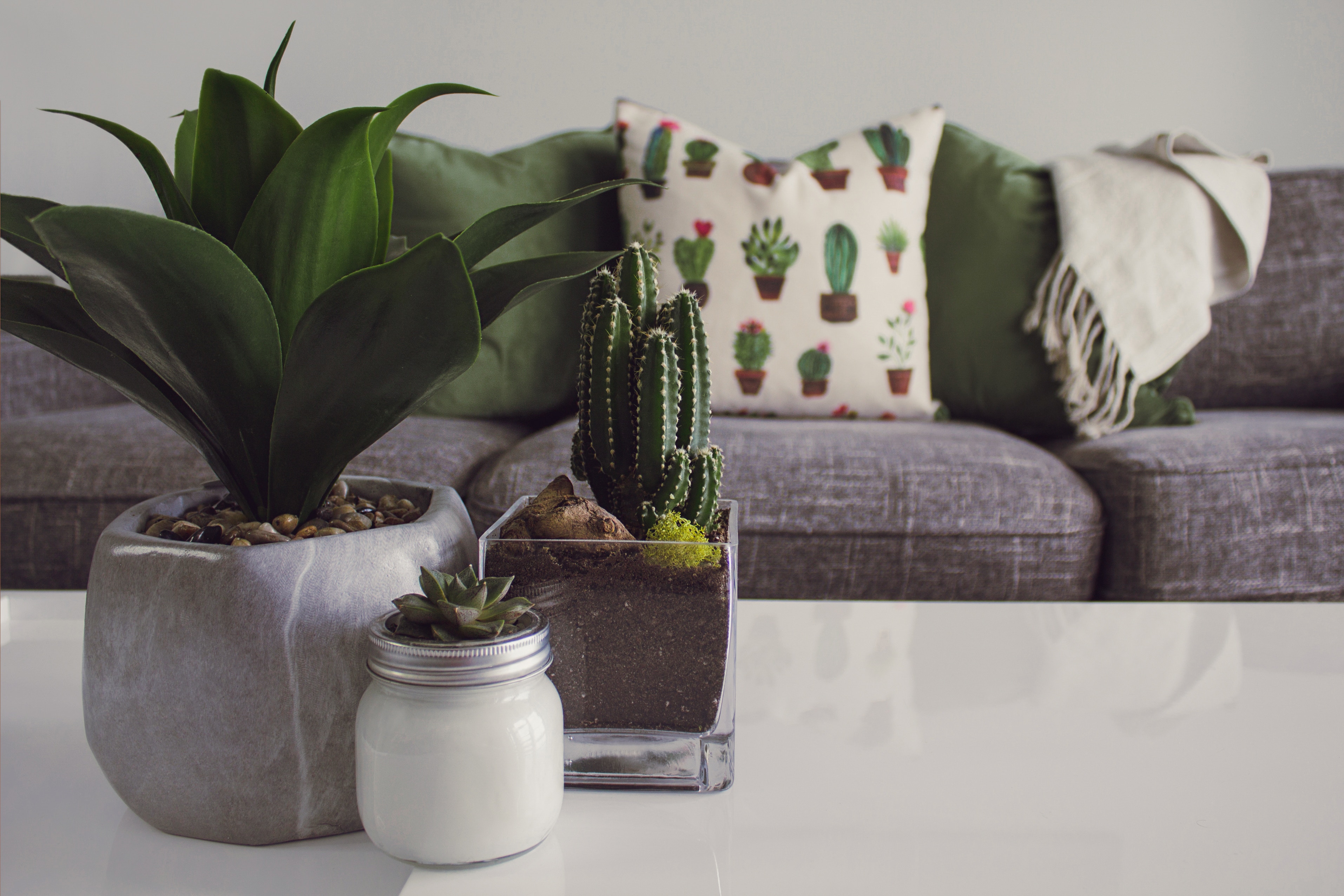 Why You Should Hire an Interior Designer Before Going on a DIY Spree_5