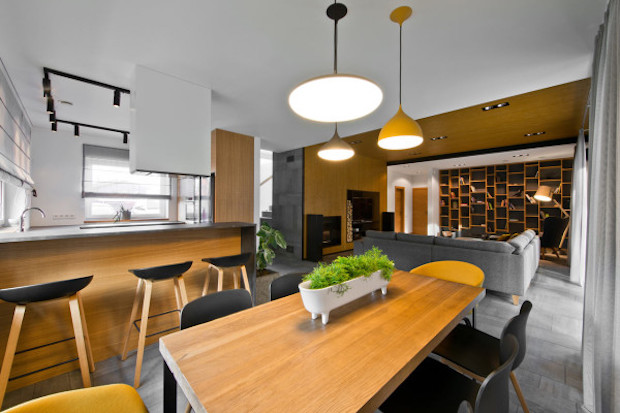 See a Modern Scandinavian Interior House in Lithuania-Arch-5-600x400 modern scandinavian See a Modern Scandinavian Interior House in Lithuania See a Modern Scandinavian Interior House in Lithuania Arch 5 600x400