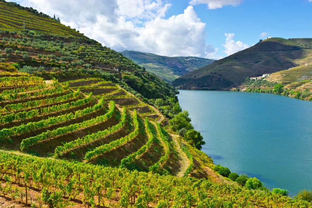 Vogue travel Portugal - Douro portugal Reasons by Vogue: Why everyone is going to Portugal this year Vogue travel Portugal Douro 1024x683