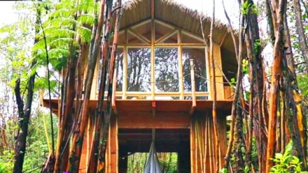 Designer builds incredible self-sustaining house in Hawaii