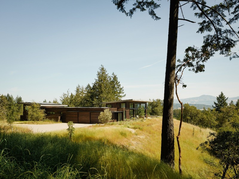 A Northern California House that Blends in with Its Natural Surroundings california house A Northern California House that Blends in with Natural Surroundings arterra landscape architects revitalized the surrounding woodland creating a natural native environment for the home