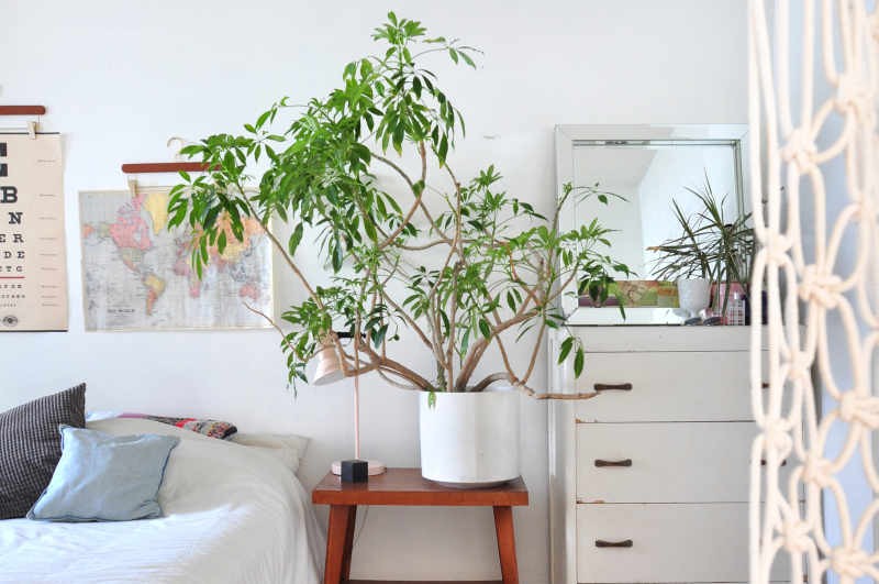 The 10 Interior Design Trends that Matter, this Fall interior design trends The 10 Interior Design Trends that Matter, this Fall 4