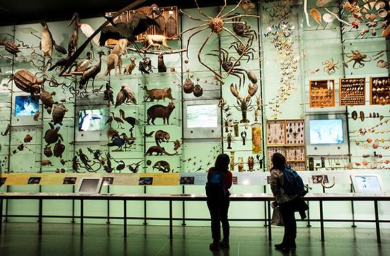 NYC Bucket List: What To Visit And What To Do nyc bucket list NYC Bucket List: What To Visit And What To Do 084c62e977aef091dbe8171261ebf417 1