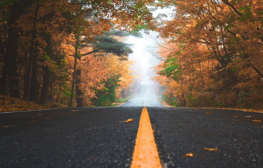 5-Best-Places-You-Must-Visit-In-fall-Vacations11-900x576 5-Best-Places-You-Must-Visit-In-fall-Vacations11-900x576 5-Best-Places-You-Must-Visit-In-fall-Vacations11-900x576 5-Best-Places-You-Must-Visit-In-fall-Vacations11-900x576 5 Best Places You Must Visit In fall Vacations fall vacations 5 Best Places You Must Visit In Fall Vacations 5 Best Places You Must Visit In fall Vacations11 900x576 Homepage 5 Best Places You Must Visit In fall Vacations11 900x576