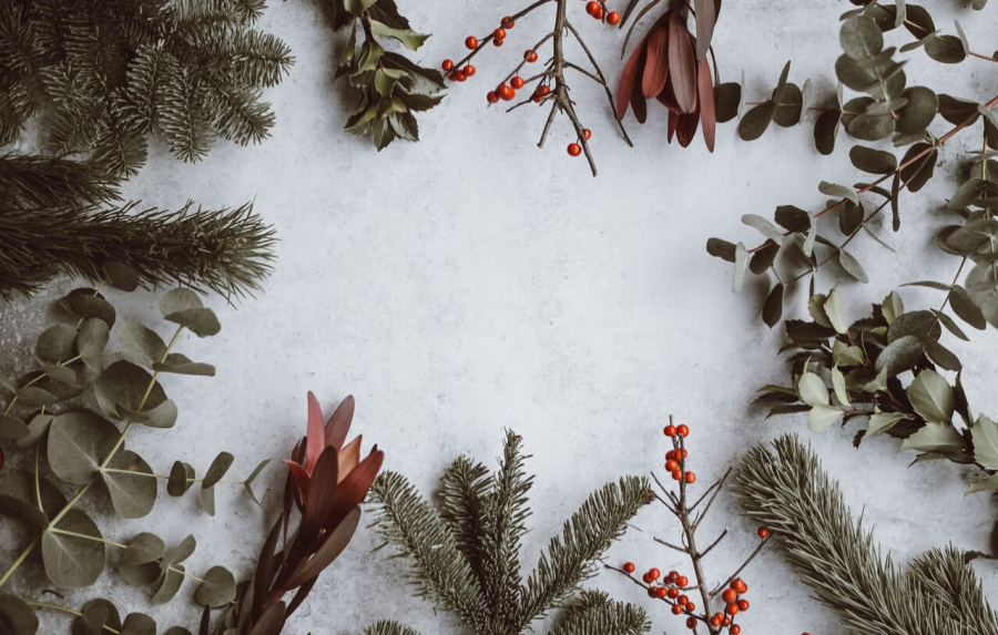 Christmas-in-the-US-900x573 Christmas-in-the-US-900x573 Christmas-in-the-US-900x573 Christmas-in-the-US-900x573 christmas traditions These Are The Best Places In USA To Enjoy Christmas Traditions Christmas in the US 900x573 Homepage Christmas in the US 900x573