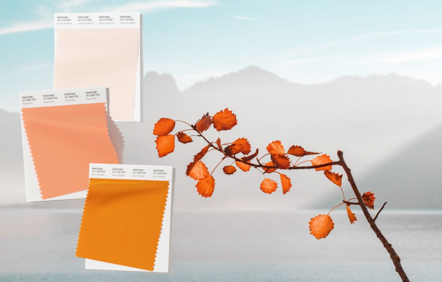 Design-sem-nome-58-900x576 Design-sem-nome-58-900x576 Design-sem-nome-58-900x576 Design-sem-nome-58-900x576 These Fall Color Trends Will Bring Warmth Into Your Home This Season fall color trends These Fall Color Trends Will Bring Warmth Into Your Home This Season Design sem nome 58 900x576 Homepage Design sem nome 58 900x576