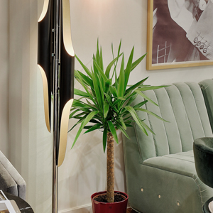 Maison&Objet Paris 2017 (September)